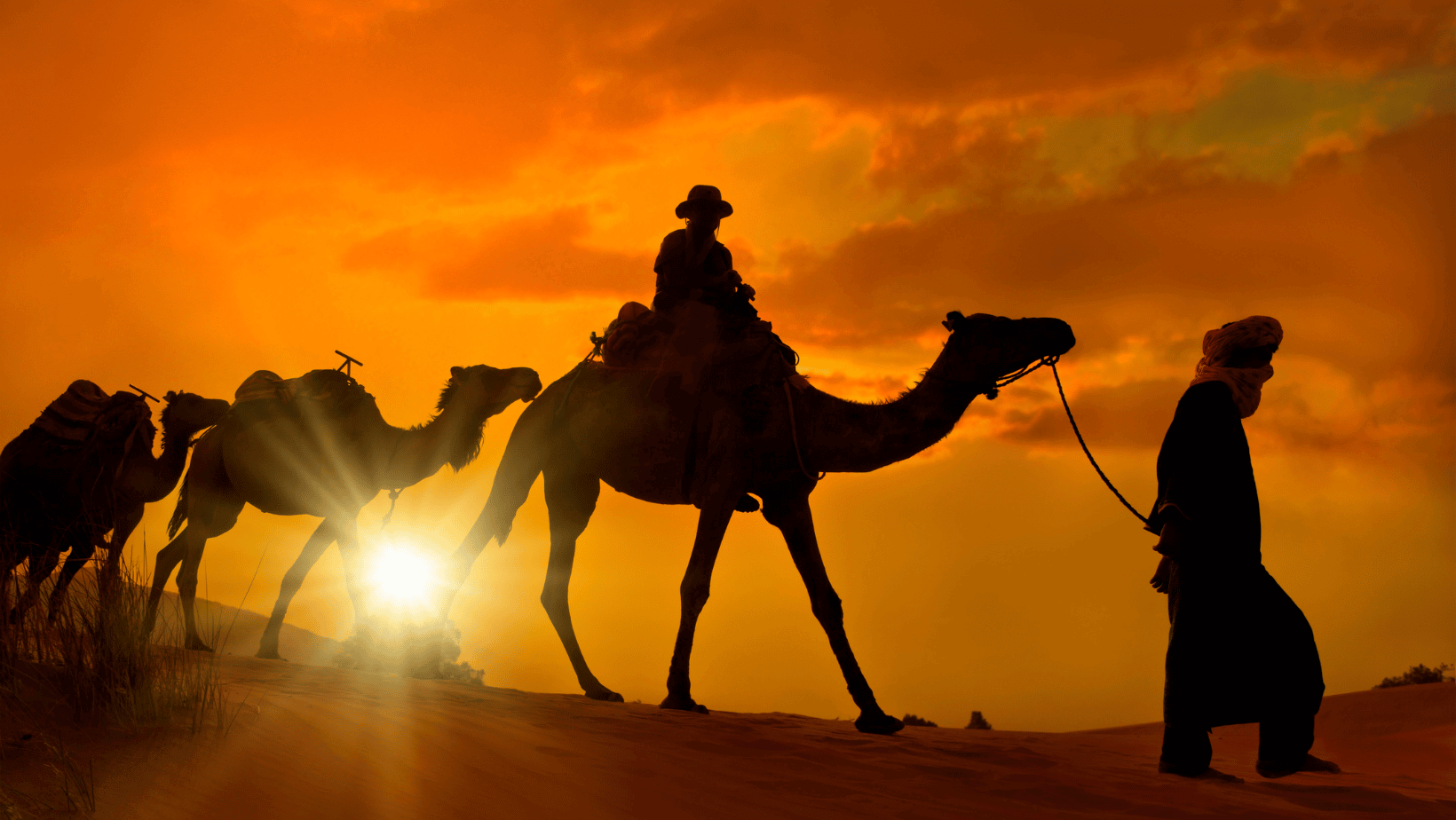 Marrakech desert tour 2 days to Zagora