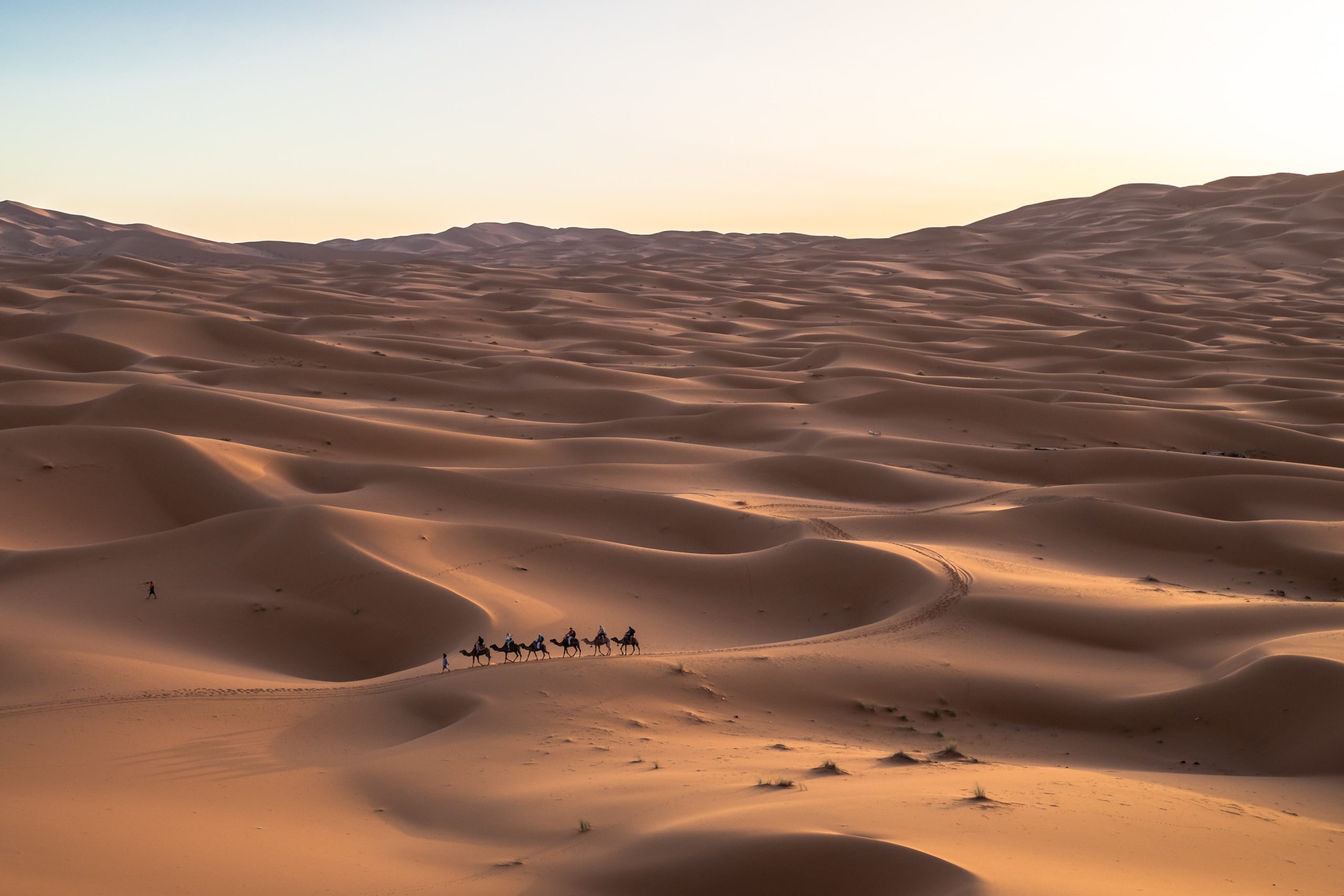 4 days from Marrakech to Merzouga desert and Fes